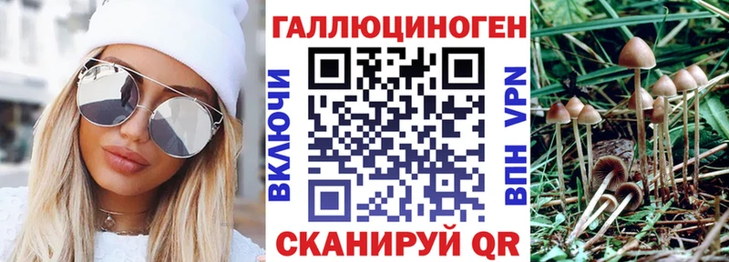 Псилоцибиновые грибы Cubensis  дарнет шоп  Бердск 