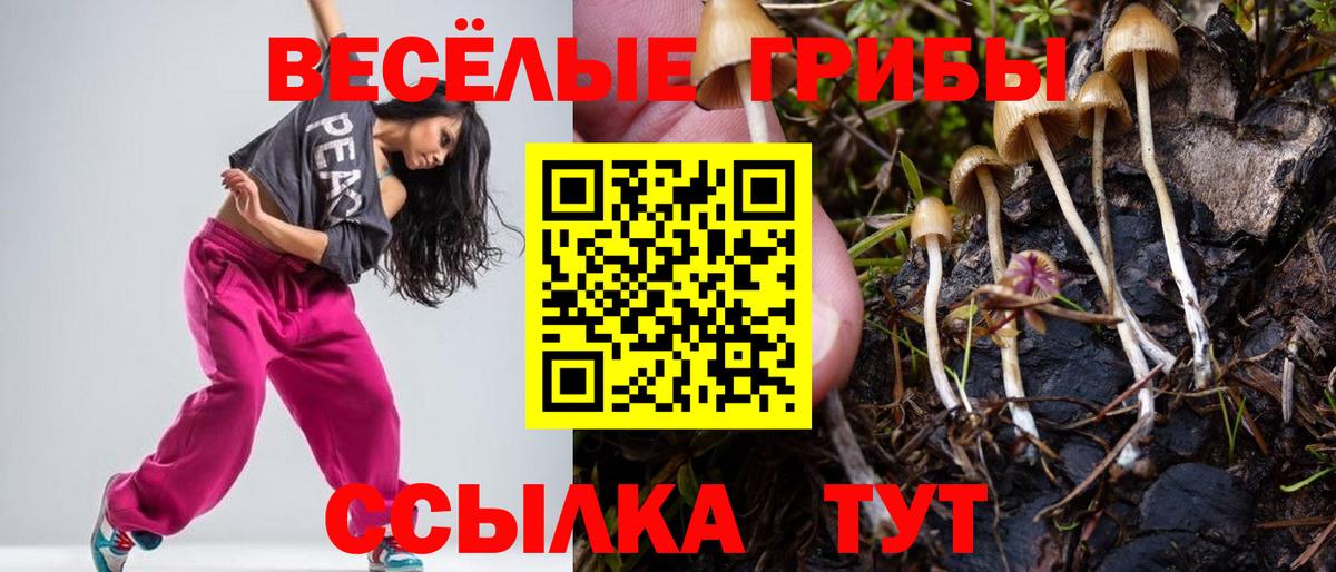 Псилоцибиновые грибы MAGIC MUSHROOMS  Галлюциногенные грибы ЛСД  Вход с VPN  Бердск 