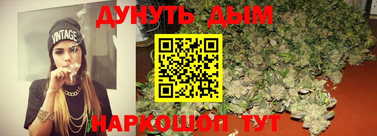 Конопля планчик  Вход с VPN  Бердск  Конопля Amnesia  Канабис планчик 